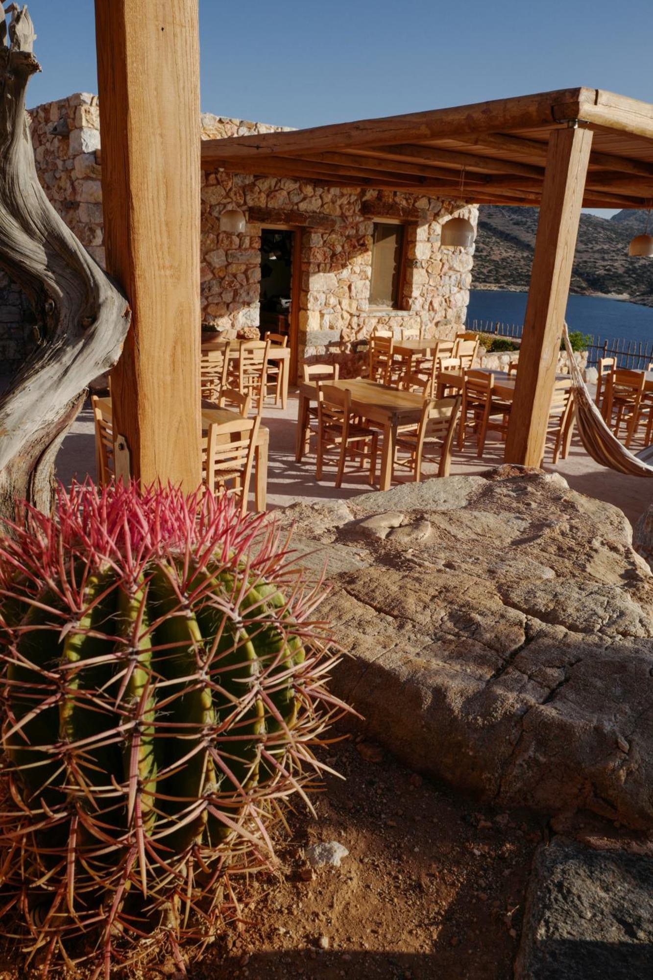 Phisis Nature Retreat دونوسا المظهر الخارجي الصورة