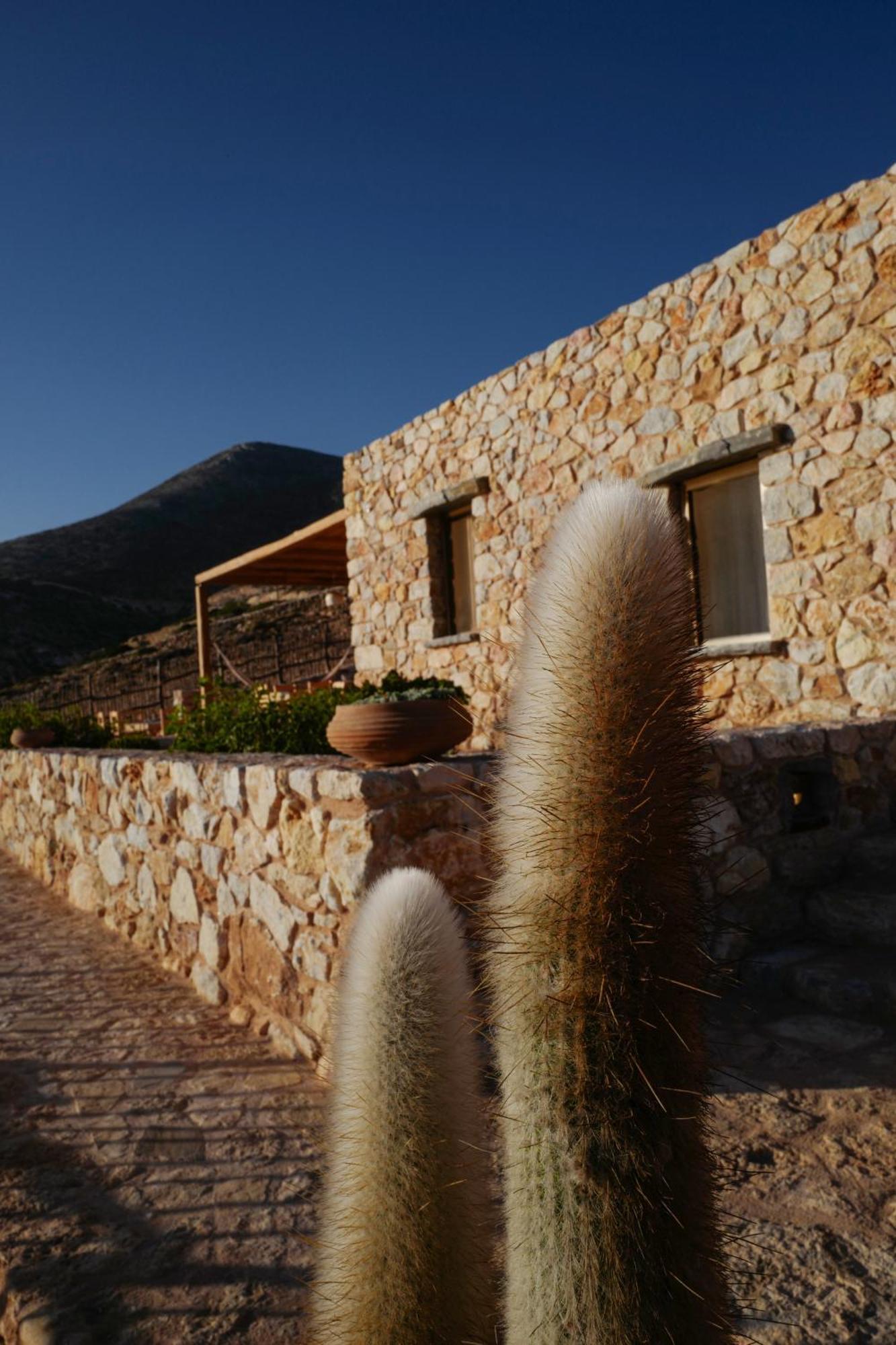 Phisis Nature Retreat دونوسا المظهر الخارجي الصورة